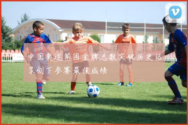 中国奥运军团金牌总数突破历史记录创下参赛最佳成绩