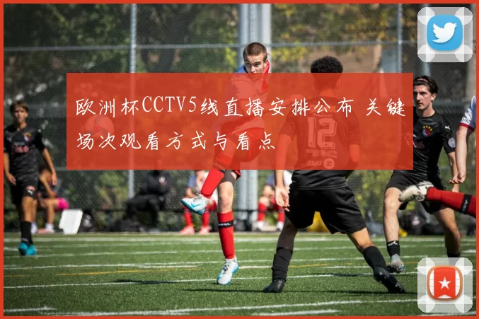 欧洲杯CCTV5线直播安排公布 关键场次观看方式与看点