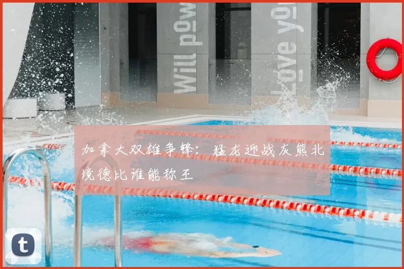 加拿大双雄争锋：猛龙迎战灰熊北境德比谁能称王